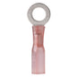 Ancor 2218 Gauge  10 Heat Shrink Ring Terminal  100Pack 310399