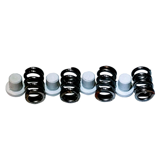 Maxwell PlungerSpring Kit  22004500 P101550
