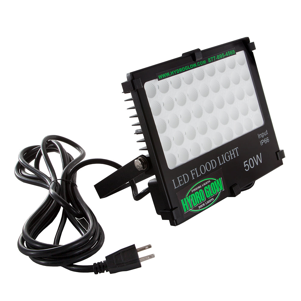 Hydro Glow FL50 50W120VAC Flood Light  White FL50W